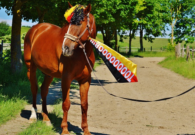 更是对其团 更是对其团