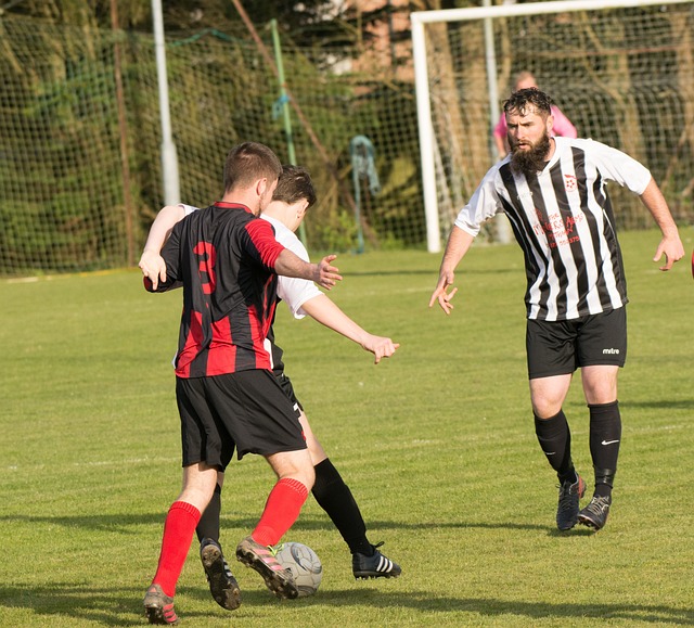 的场次中有 的场次中有