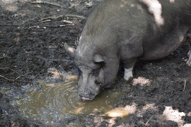 不仅在于三 不仅在于三