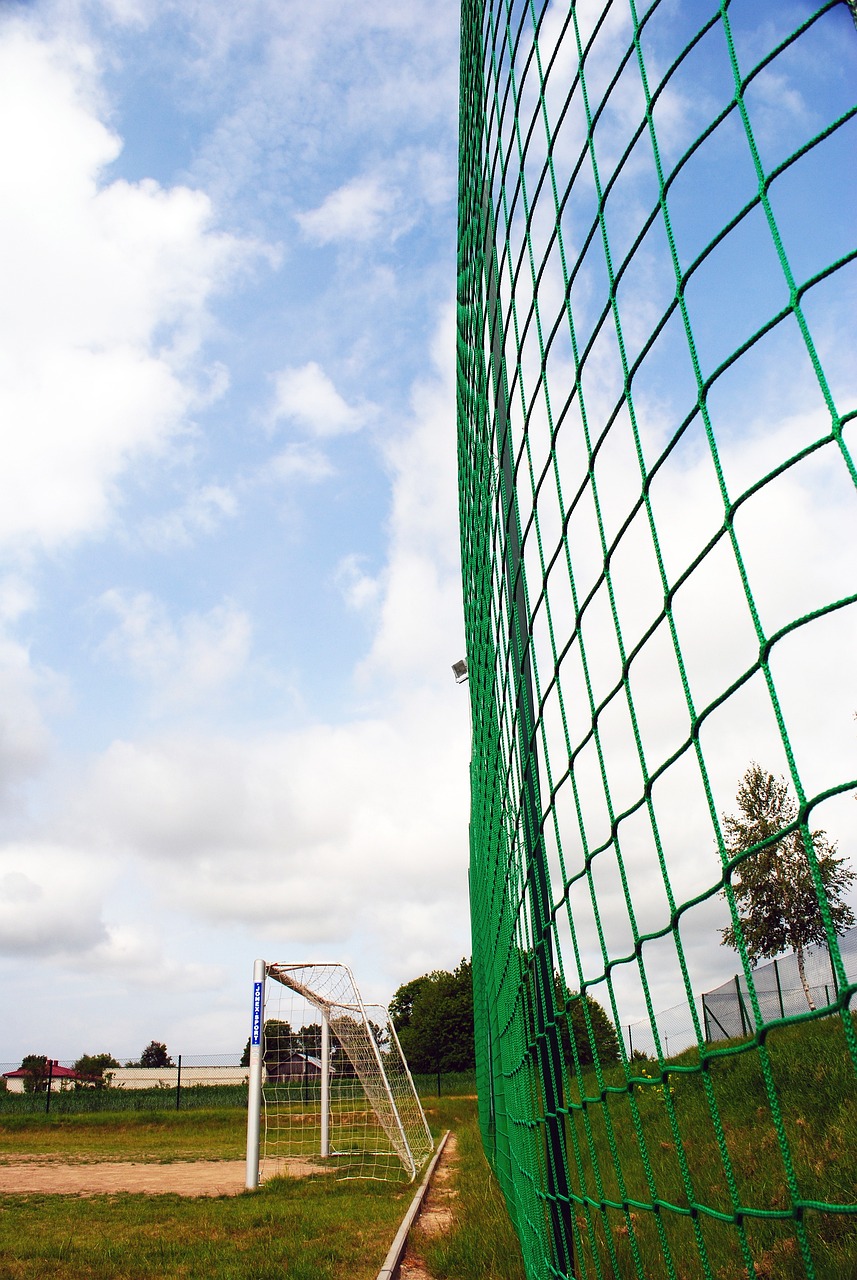 亚历山大赛 亚历山大赛