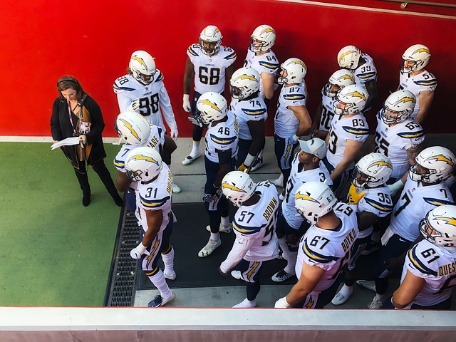 专家的关注 专家的关注