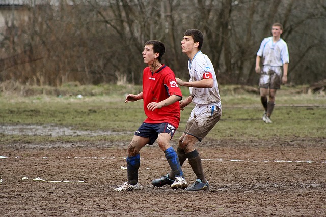 Willi