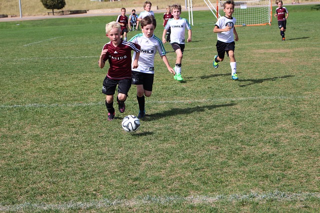 练和大胆使 练和大胆使