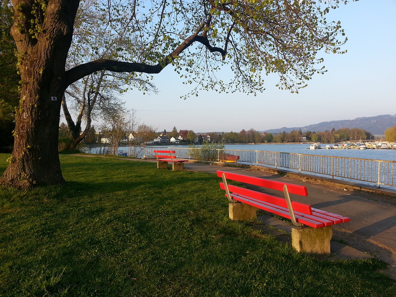 让球迷疑问 让球迷疑问